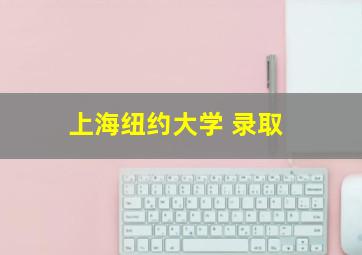 上海纽约大学 录取